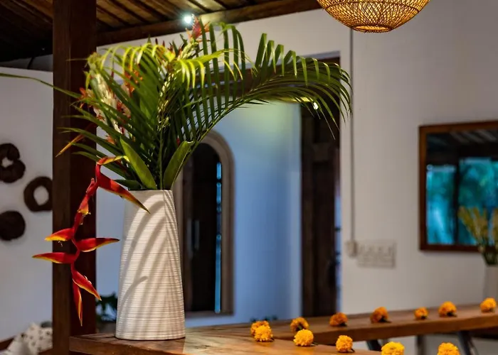 Daya Canggu (Bali)