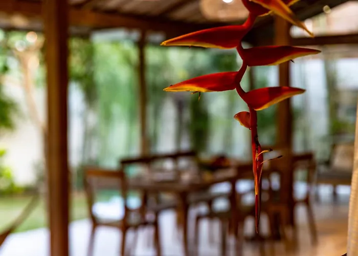 Daya Canggu (Bali)